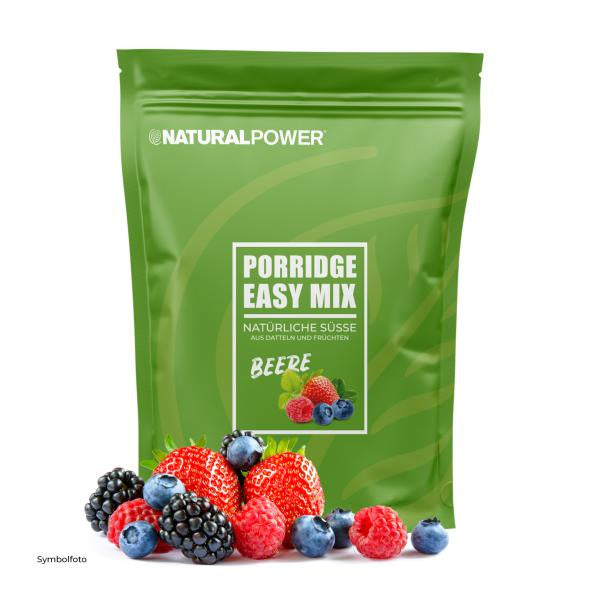 Porridge Easy Mix Fructe de pădure